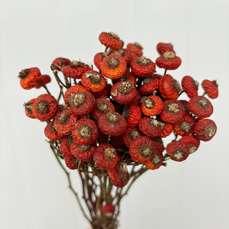 Dried Flower Bunch - 10 stuks/bundel gedroogde rozenbottelbessen bloemen natuurlijke