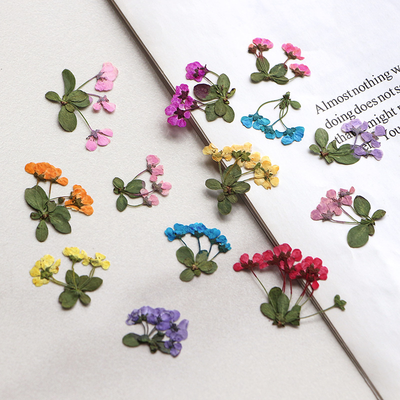 Supply For Florist - 2-3 cm/12 stuks, geperste kleine bloemen,