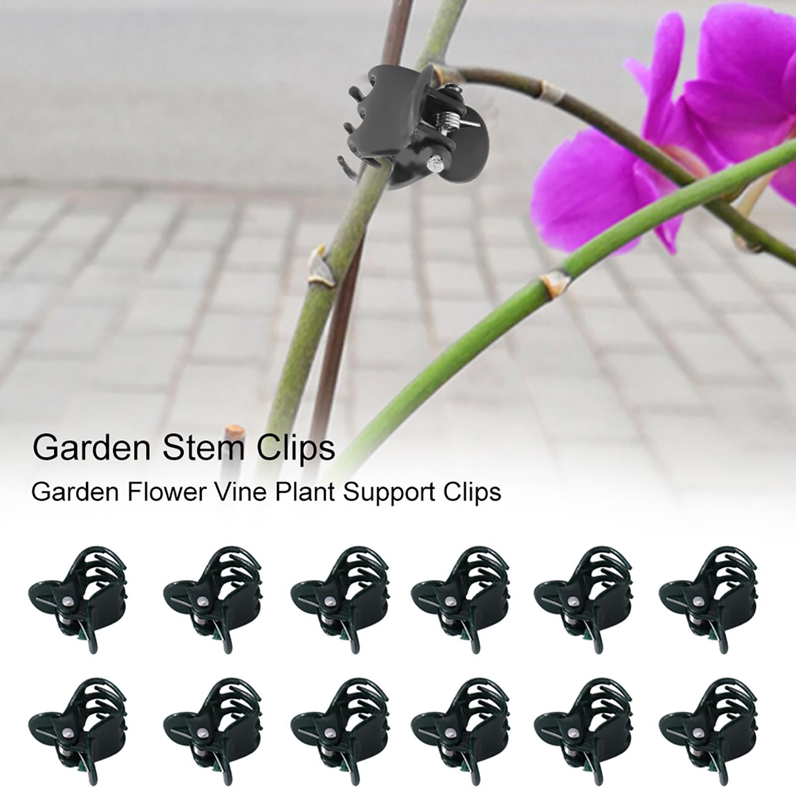 Supply For Florist - 100 stks Mini Plant Clips Tuin