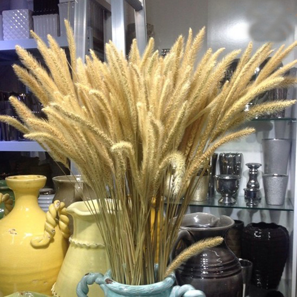 Dried Flower Bunch - 200 stks natuurlijke gedroogde Lagurus ovatus