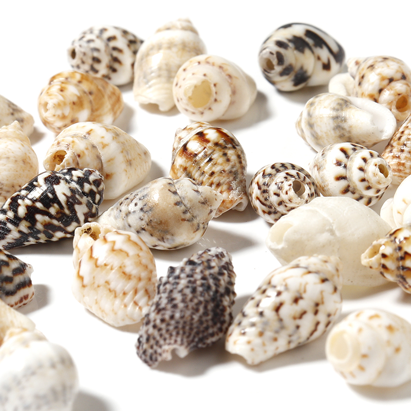 Florist Supplies - 30 g/partij 7-12mm Bloem Slak Shell
