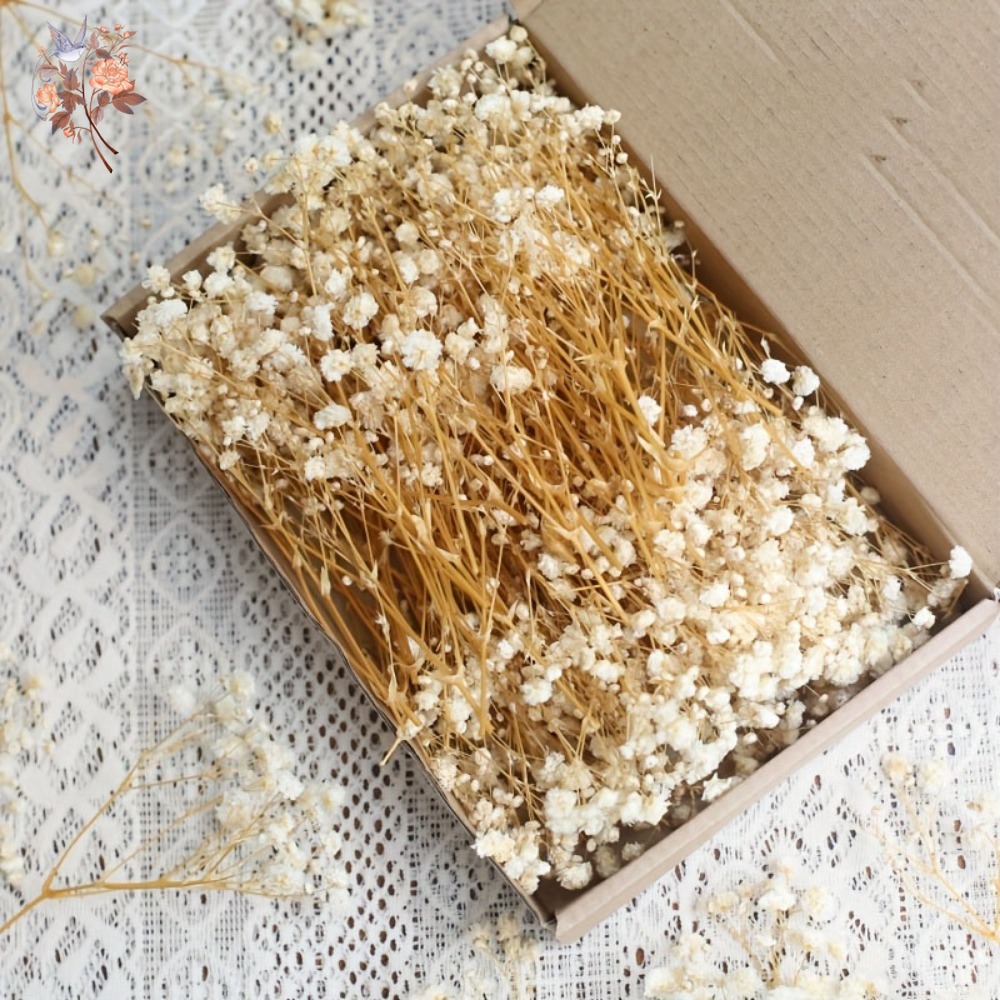 Dried Flower Bunch - 100 stuks Mini Gedroogde Baby's Breath