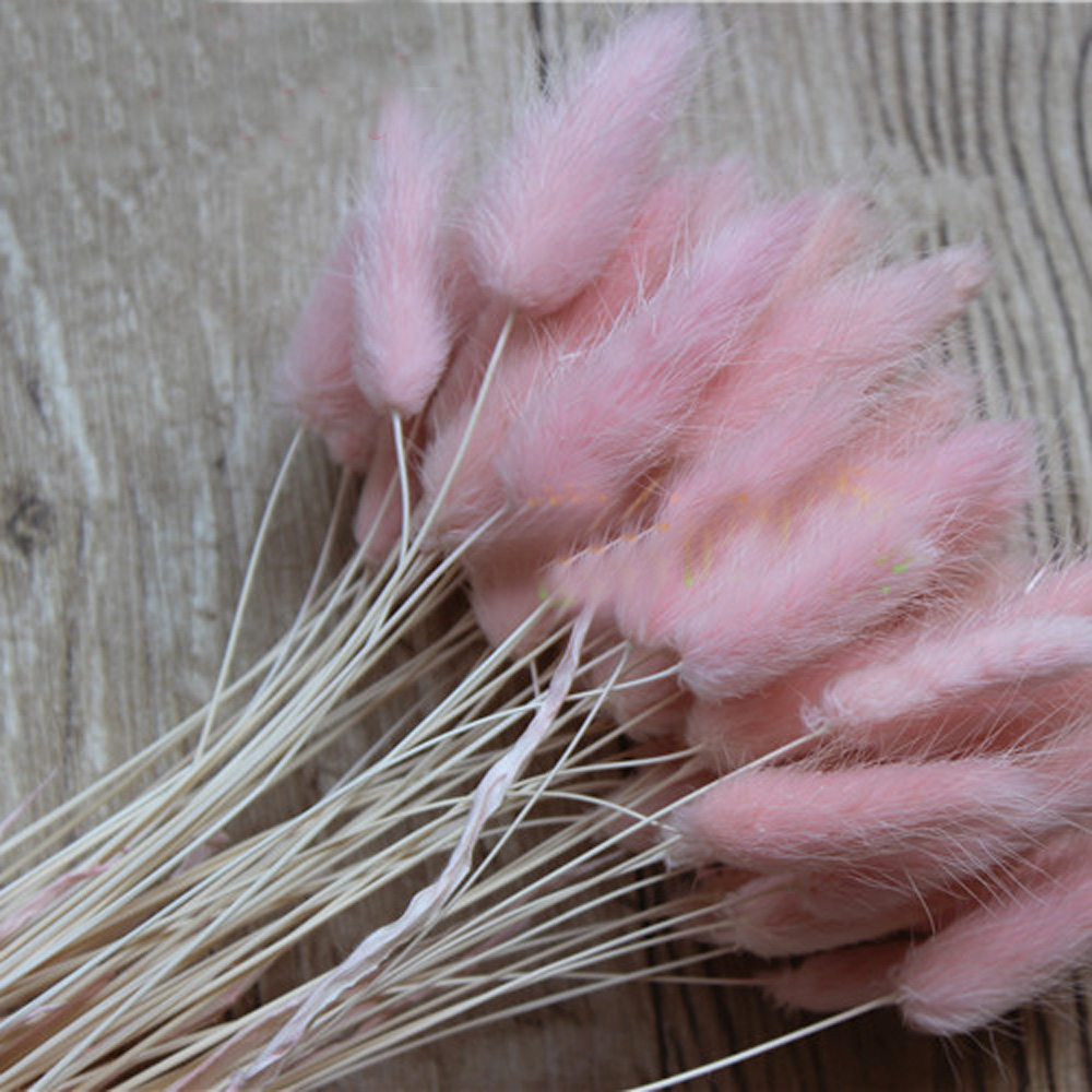 50 stks gedroogde natuurlijke  - Dried Flower Bunch recensie en prijs