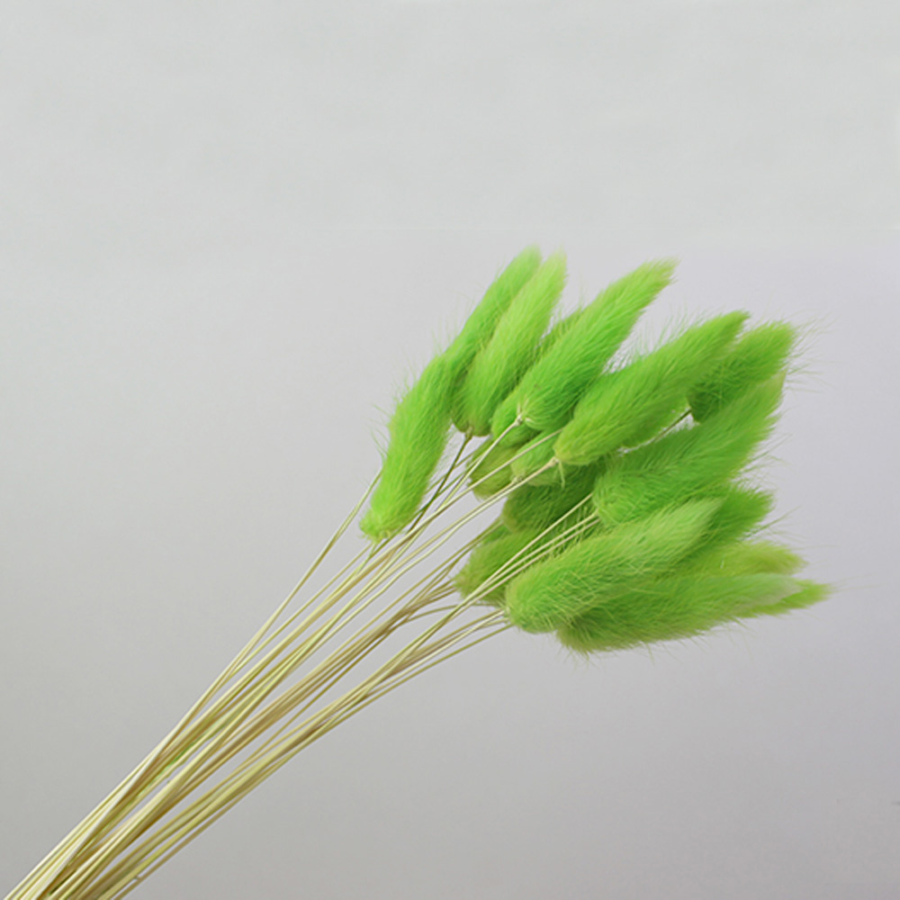 50 stks gedroogde natuurlijke  - Dried Flower Bunch recensie en prijs