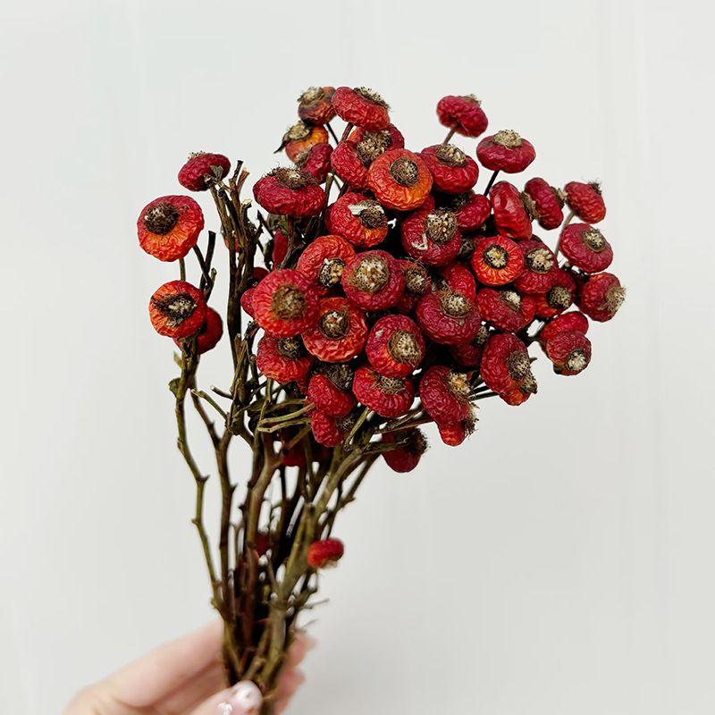 10 stuks/bundel gedroogde roze - Dried Flower Bunch recensie en prijs