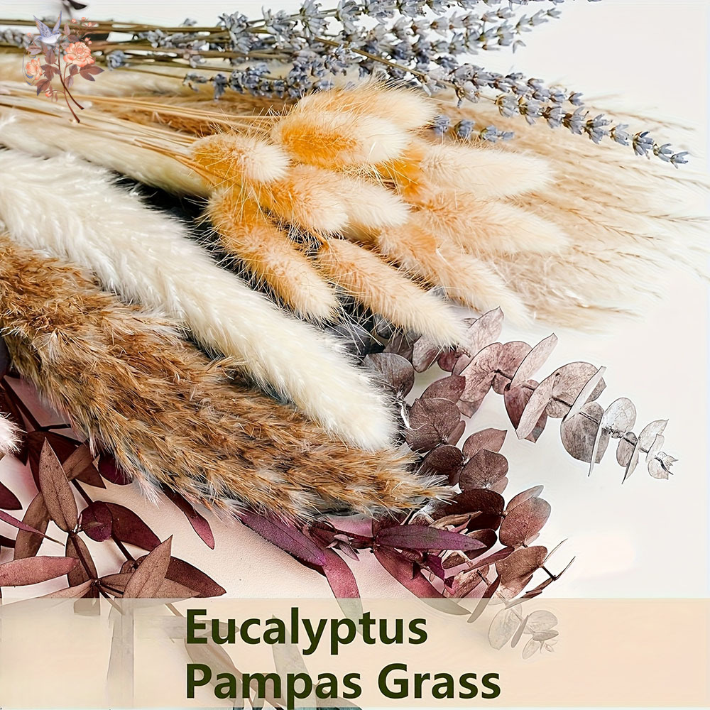 75 STKS Gedroogde Pampas Eucal - Dried Flower Bunch recensie en prijs