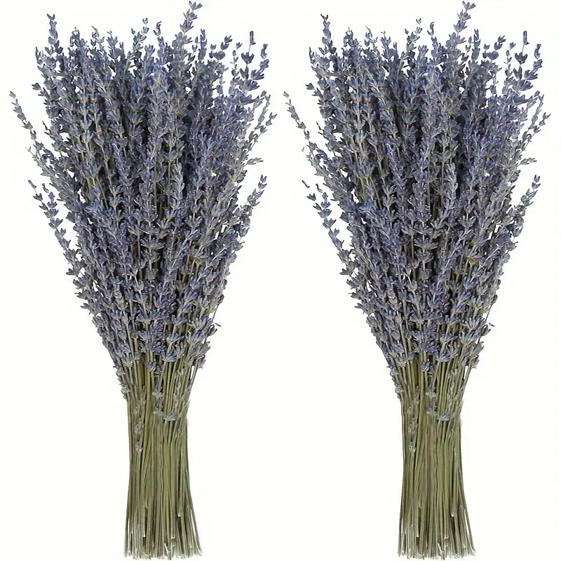 200 stuks/bundel gedroogde lav - Dried Flower Bunch recensie en prijs