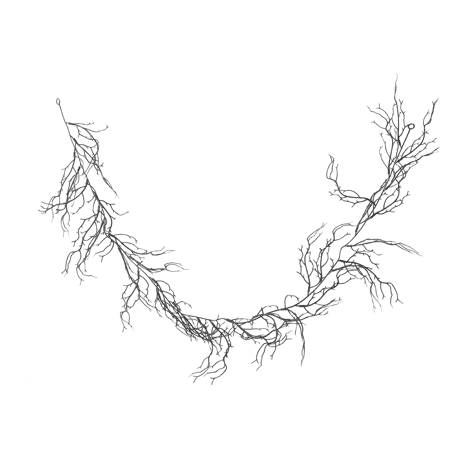 Flexibele zwarte krullende wil - Branch Curly Willow recensie en prijs