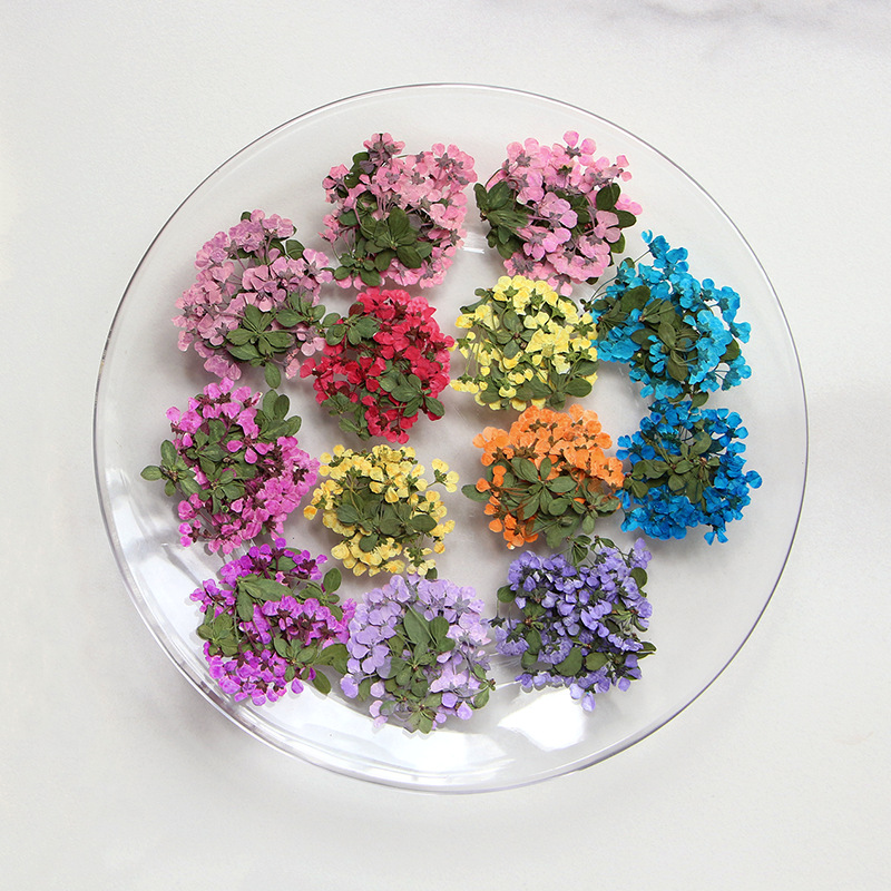 2-3 cm/12 stuks, geperste klei - Supply For Florist recensie en prijs