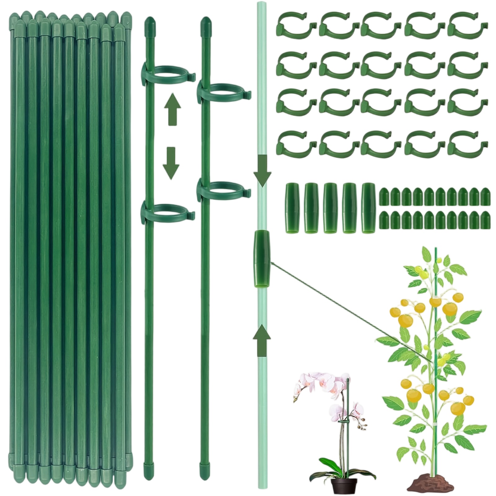 Plantensteunen Staaf Houder vo - Supply For Florist recensie en prijs