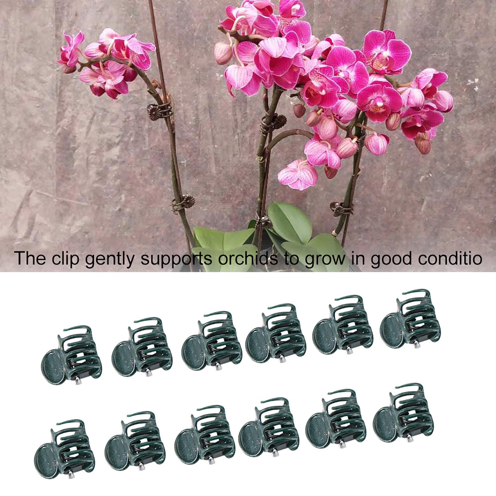 100 stks Mini Plant Clips Tuin - Supply For Florist recensie en prijs