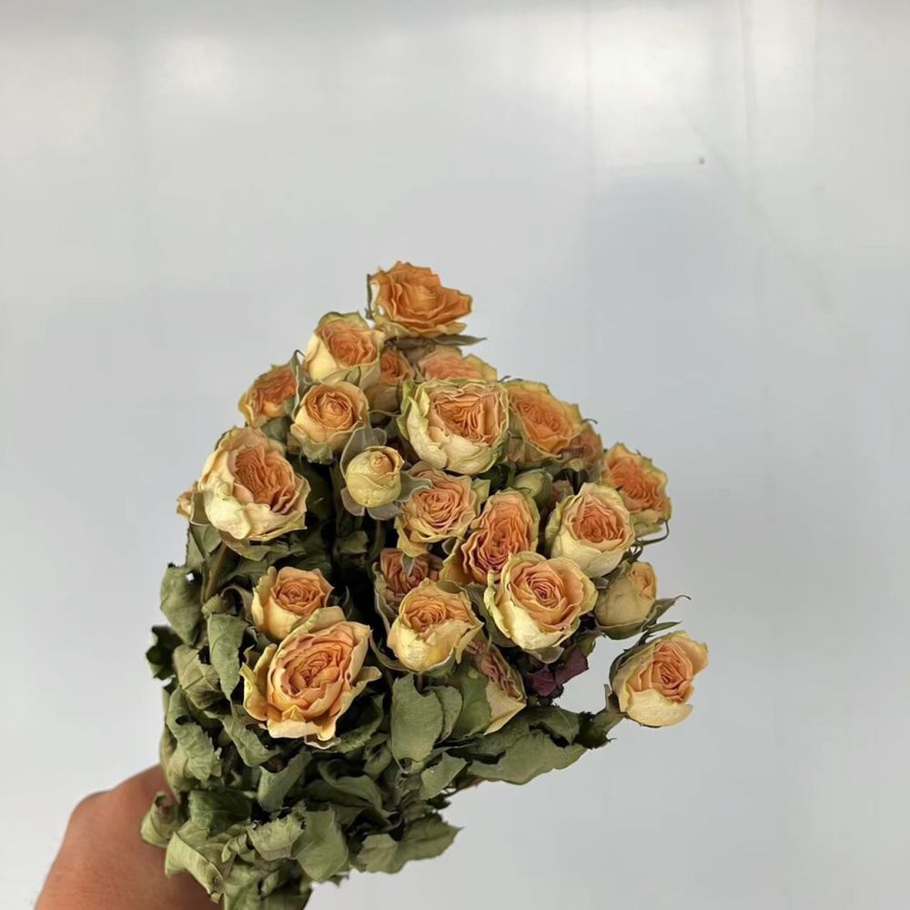 Echte, geconserveerde rozen, g - Dried Flower Bunch recensie en prijs