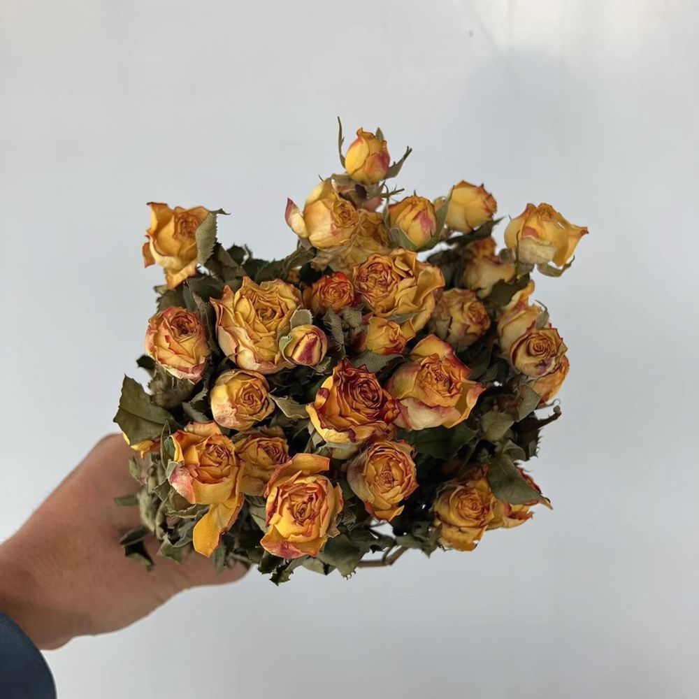 Echte, geconserveerde rozen, g - Dried Flower Bunch recensie en prijs
