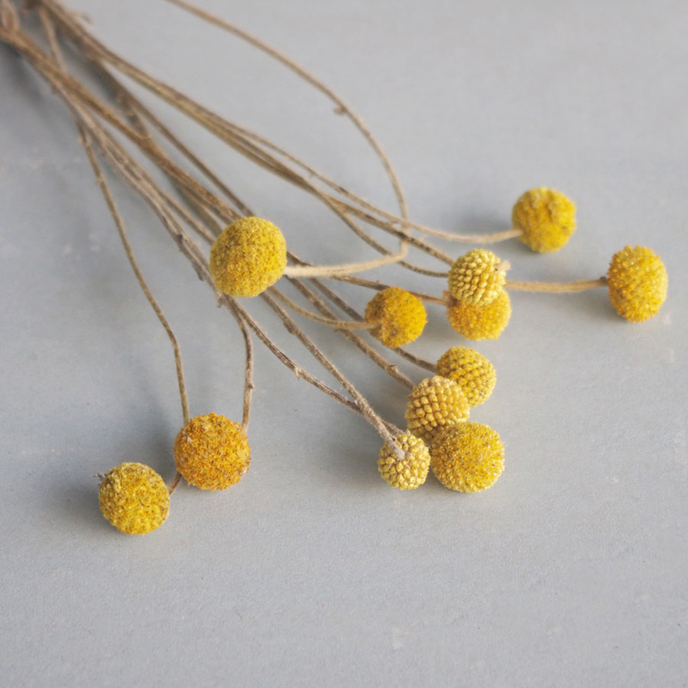 20 stks Natuurlijke gedroogde  - Dried Flower Bunch recensie en prijs