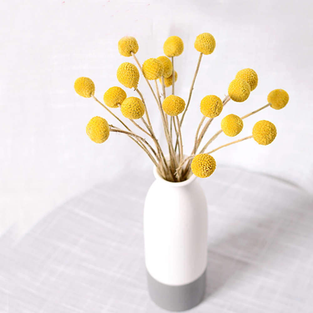 20 stks Natuurlijke gedroogde  - Dried Flower Bunch recensie en prijs