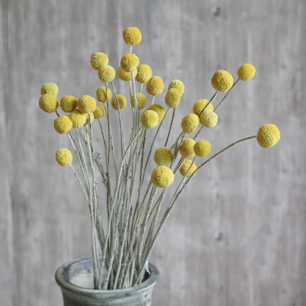 20 stks Natuurlijke gedroogde  - Dried Flower Bunch recensie en prijs