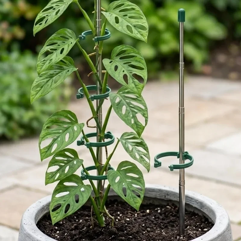 5/1PCS Intrekbare Plant Onders - Supply For Florist recensie en prijs