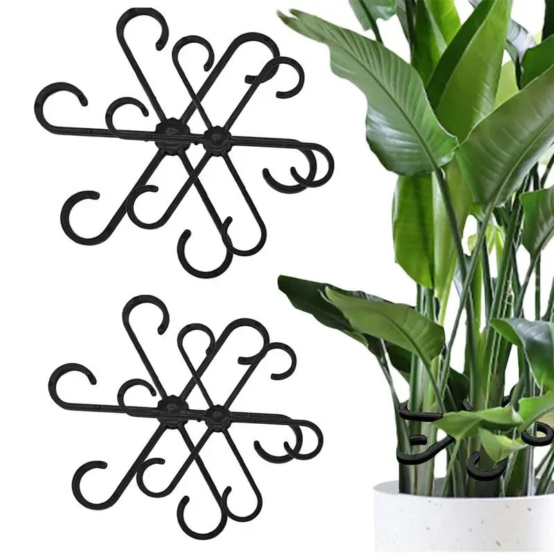 Plantenstamklem Monstera Rankb - Supply For Florist recensie en prijs