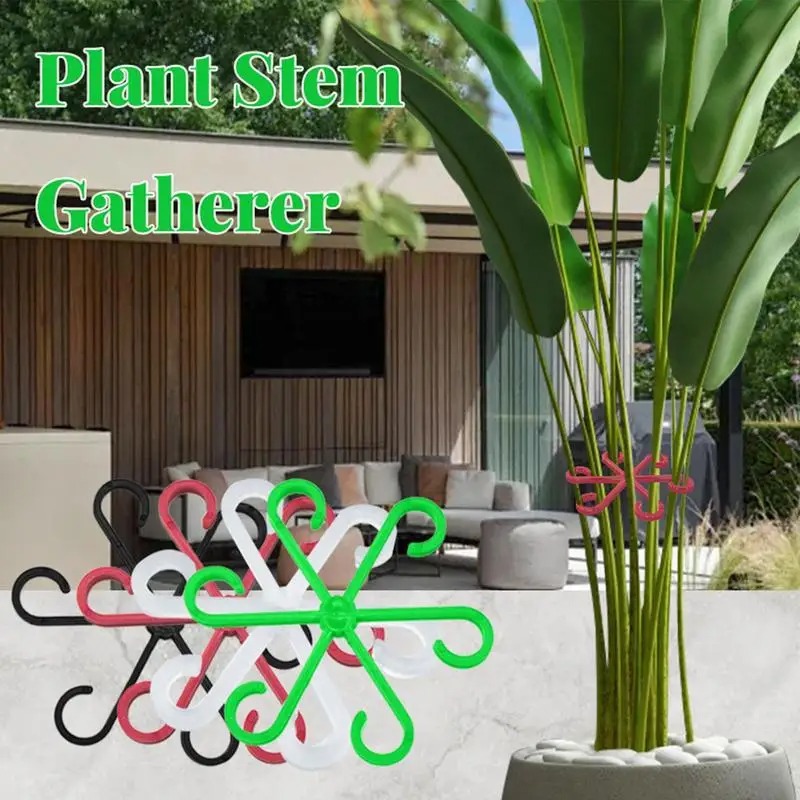Plantenstamklem Monstera Rankb - Supply For Florist recensie en prijs