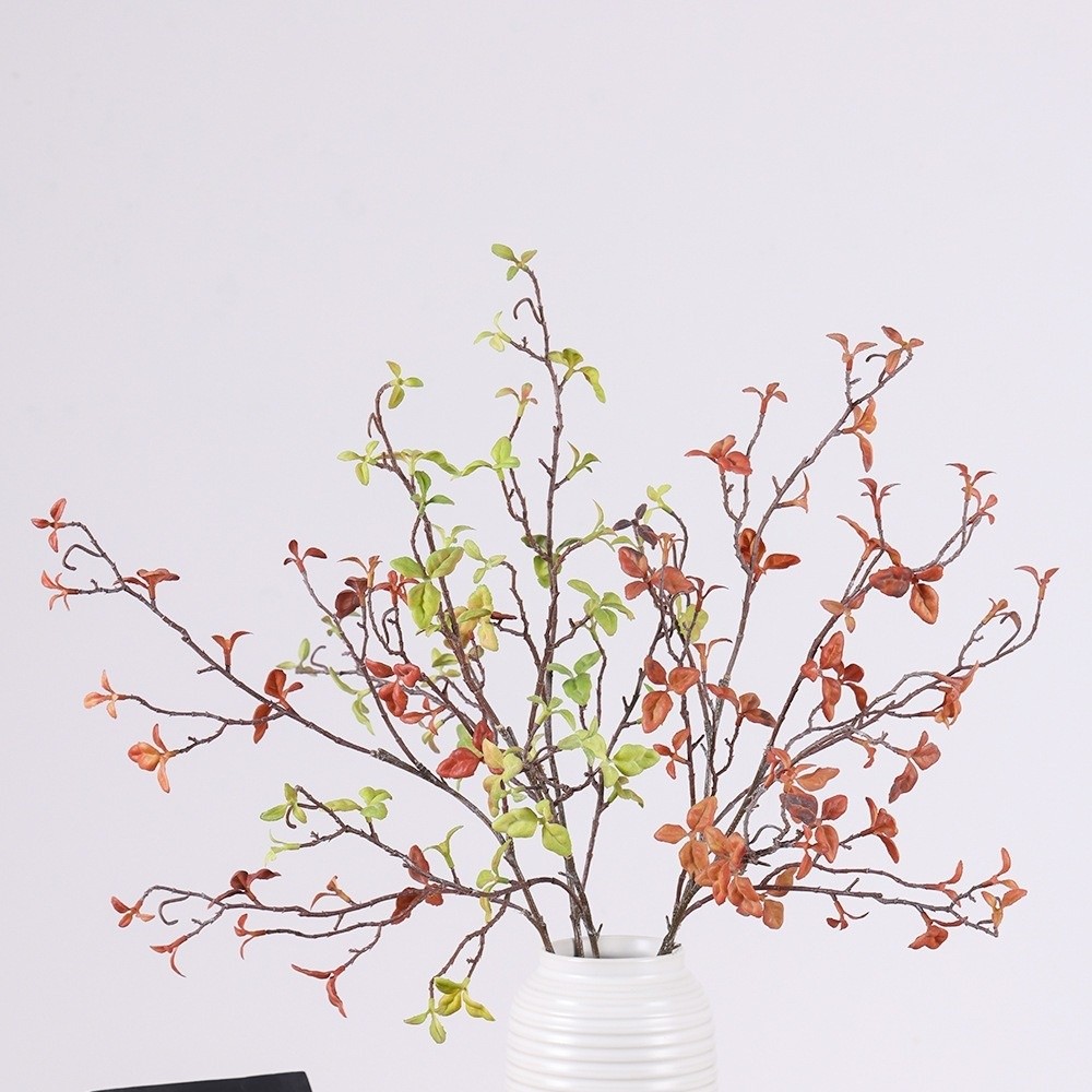 Kunstmatige wilgentakken, deco - Branch Curly Willow recensie en prijs