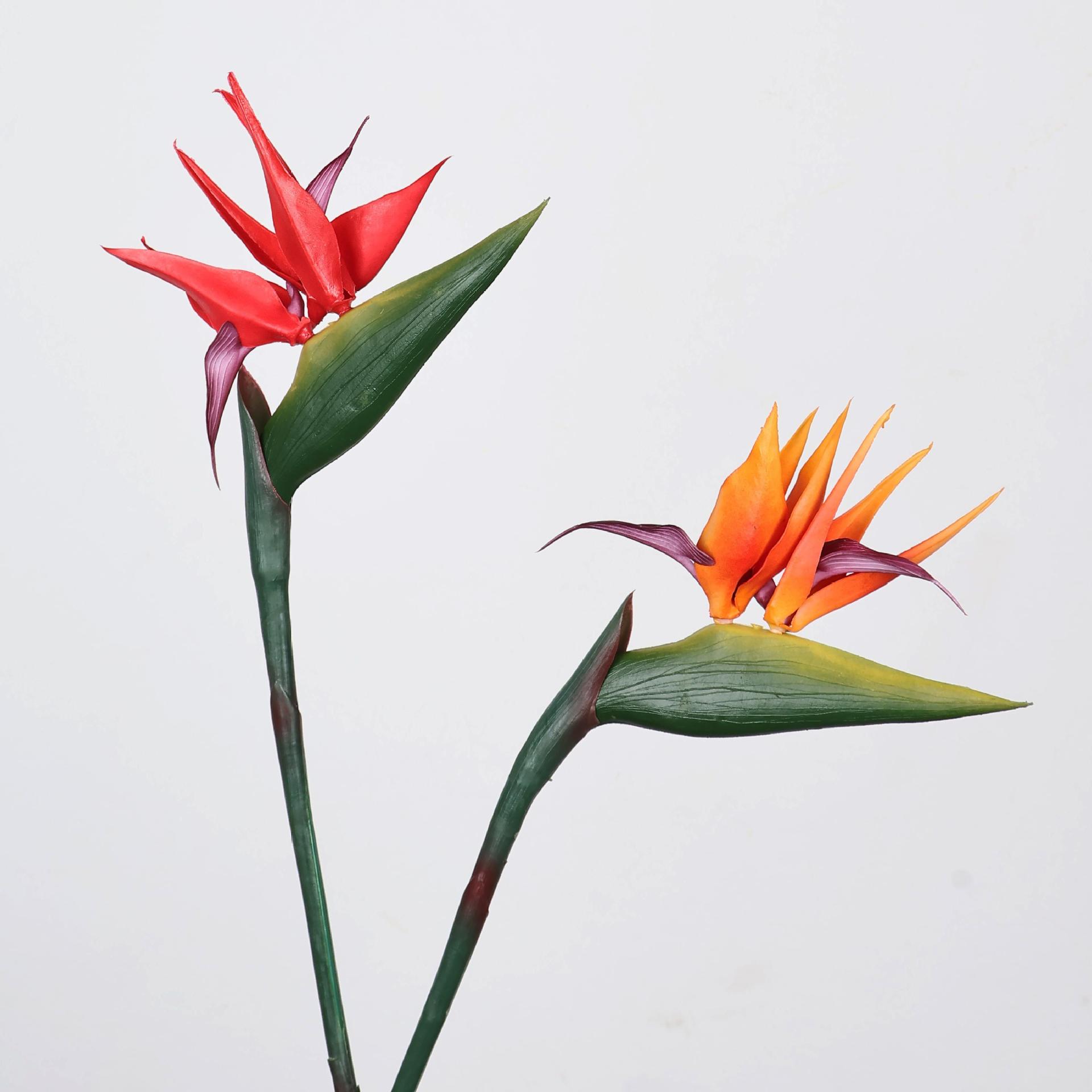 33-inch kunstmatige paradijsvo - Supply For Florist recensie en prijs