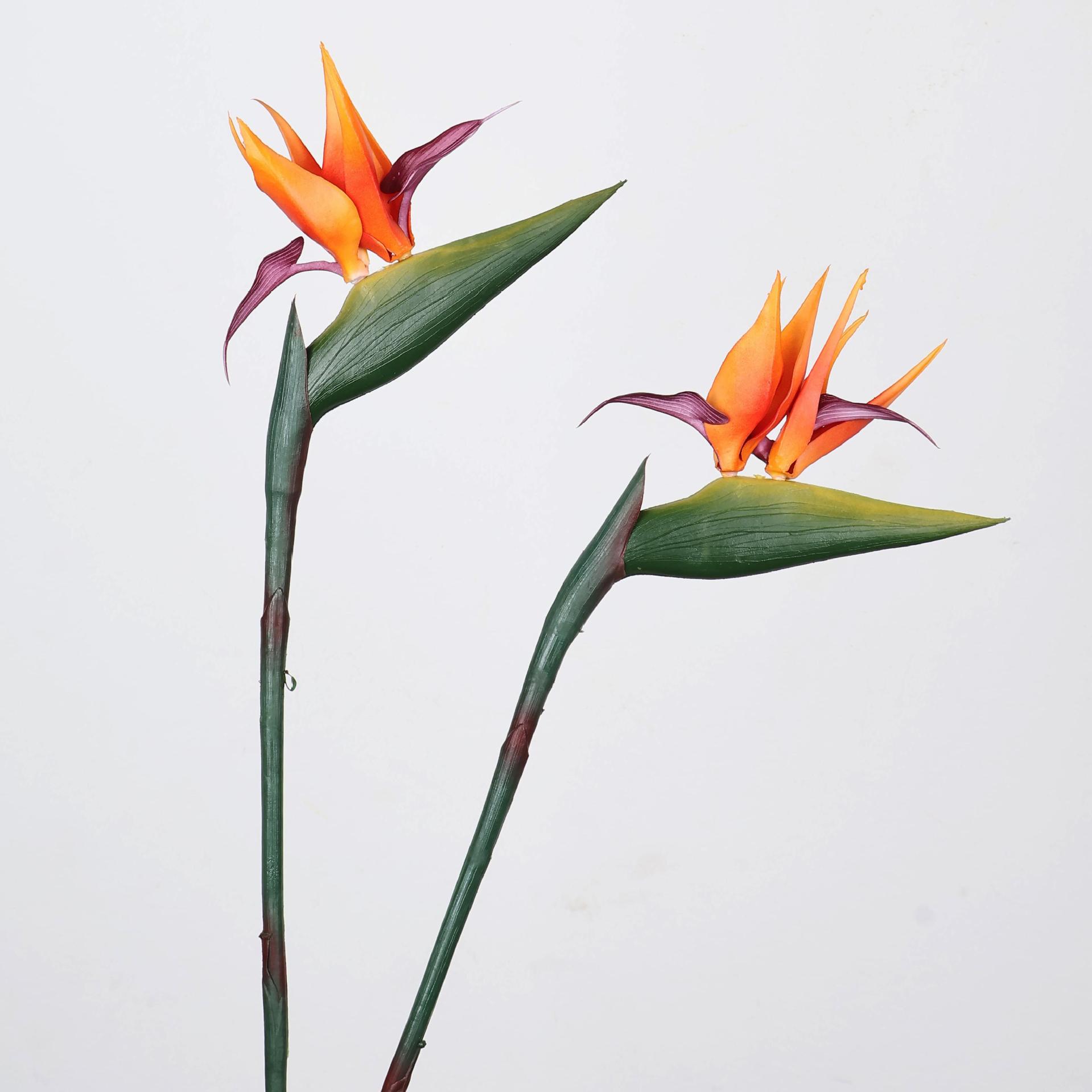33-inch kunstmatige paradijsvo - Supply For Florist recensie en prijs