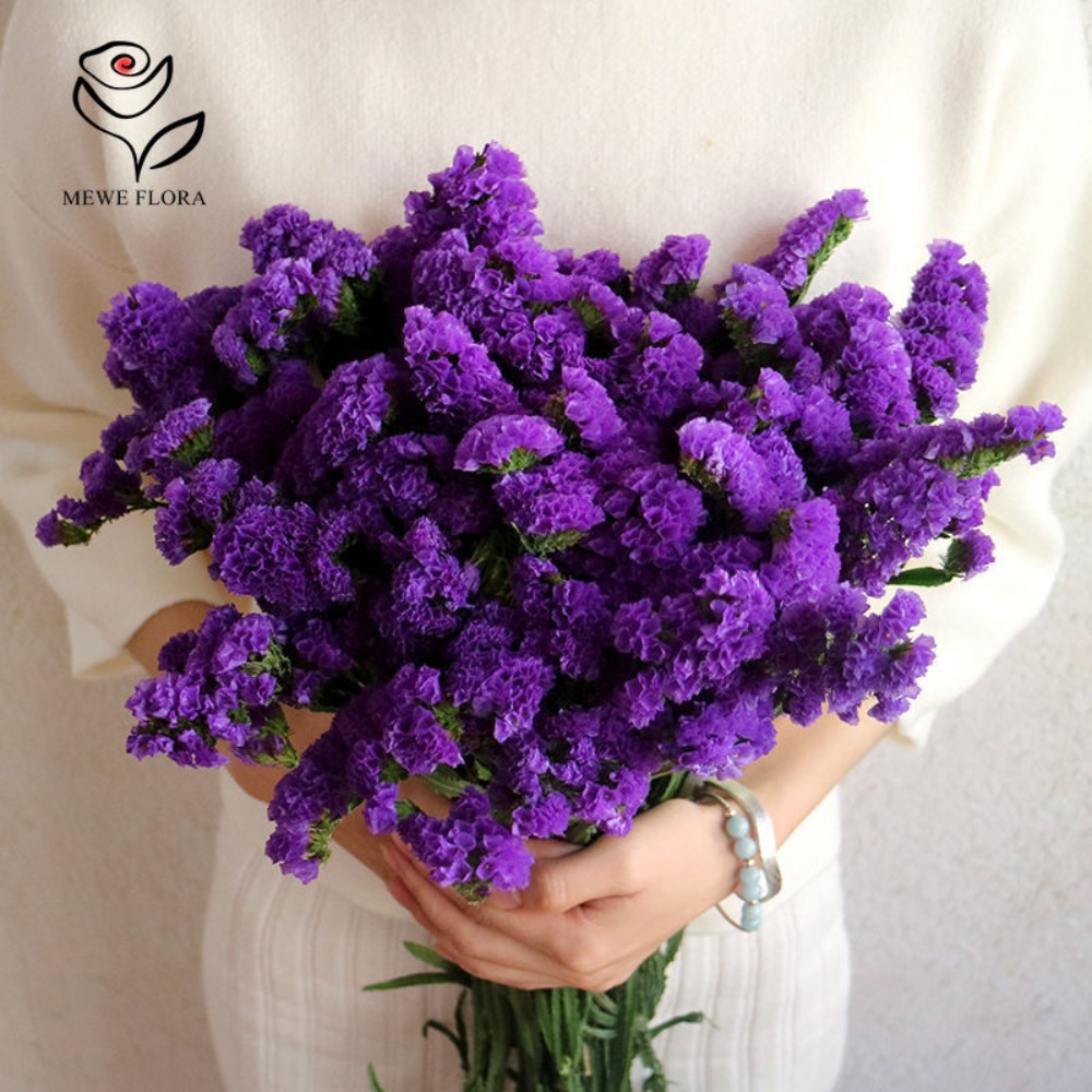 100G Gedroogd Vergeet Me Niet  - Dried Flower Bunch recensie en prijs