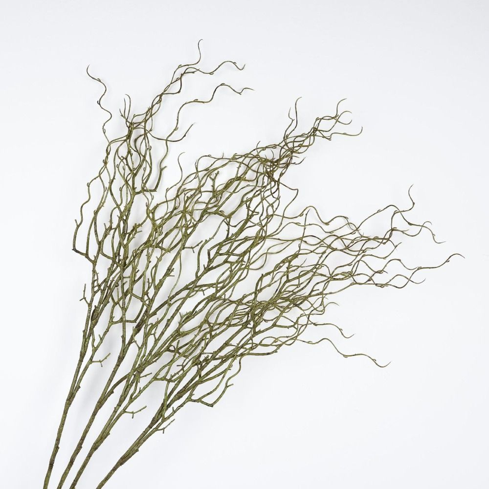 120 cm lange kunstmatige wilge - Branch Curly Willow recensie en prijs