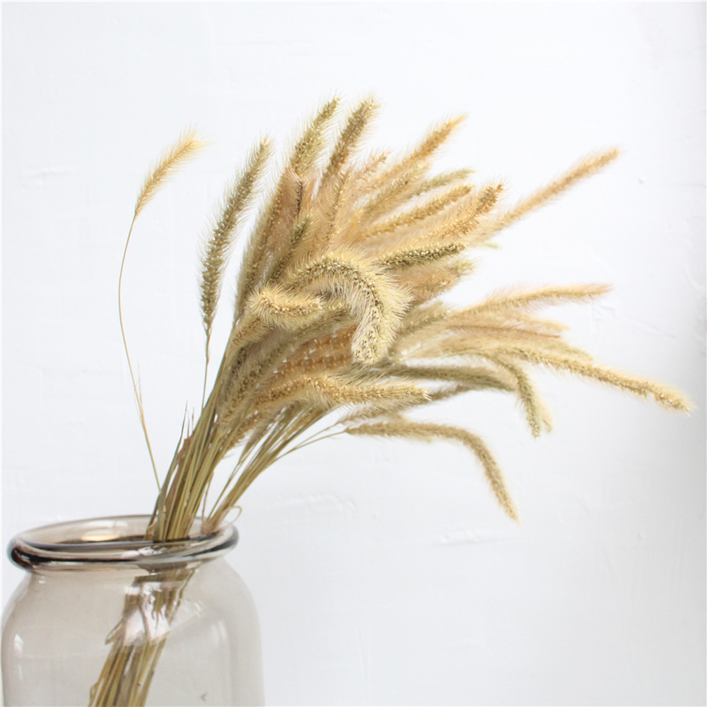 200 stks natuurlijke gedroogde - Dried Flower Bunch recensie en prijs