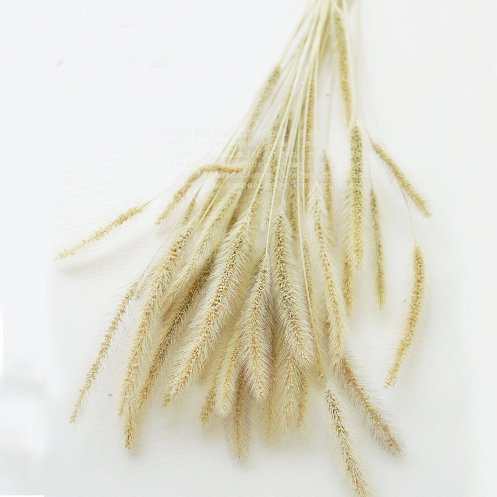 200 stks natuurlijke gedroogde - Dried Flower Bunch recensie en prijs