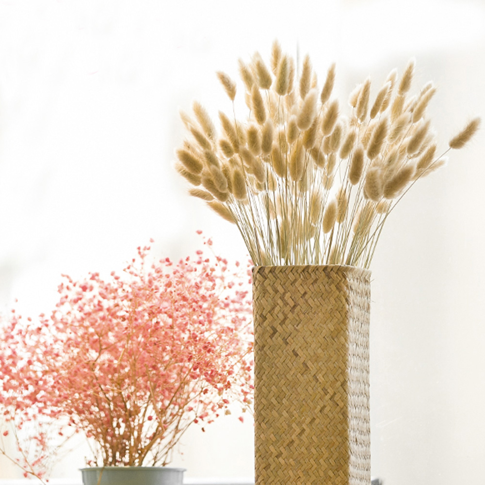 200 stks natuurlijke gedroogde - Dried Flower Bunch recensie en prijs