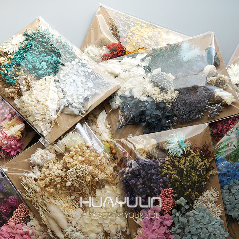 1-pack kunstplanten gedroogde  - Dried Flower Bunch recensie en prijs
