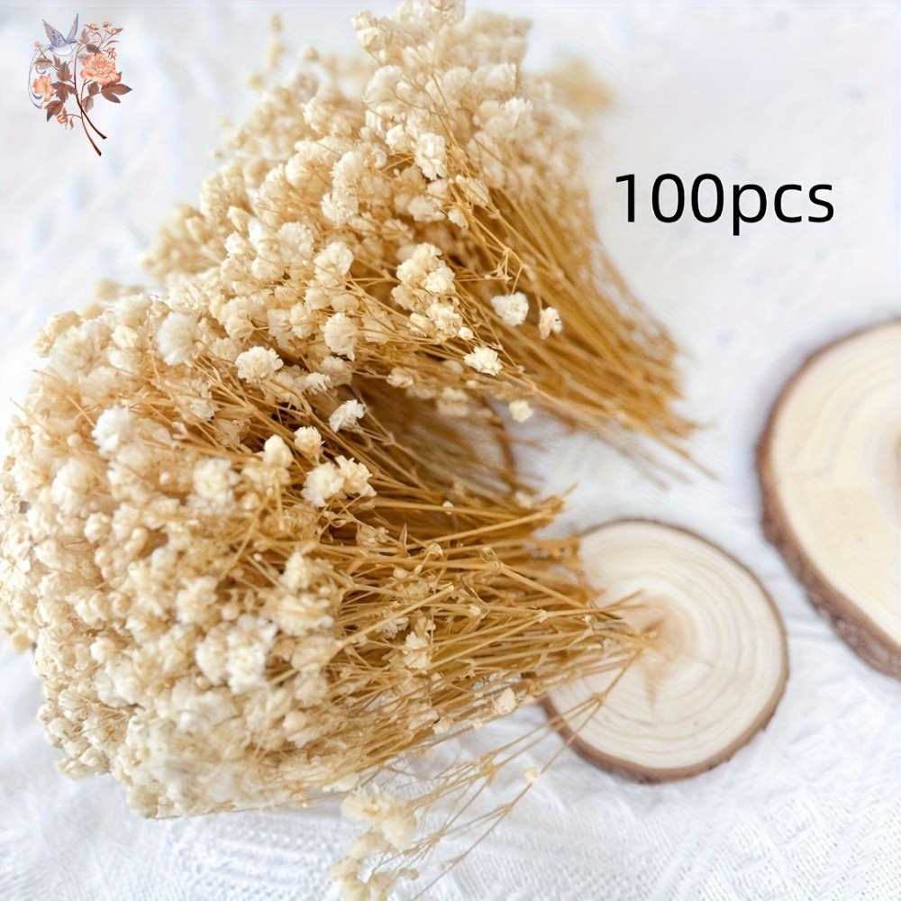 100 stuks Mini Gedroogde Baby' - Dried Flower Bunch recensie en prijs