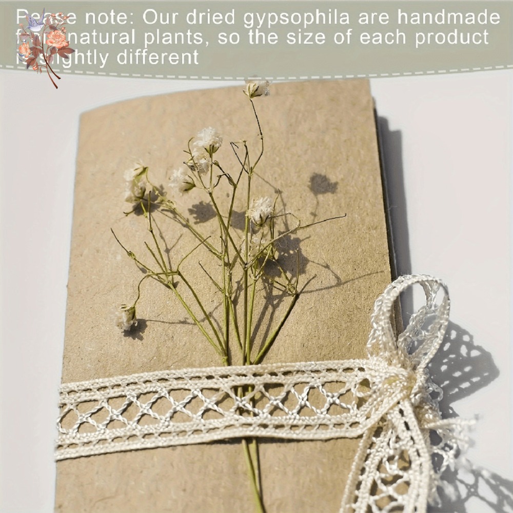 100 stuks Mini Gedroogde Baby' - Dried Flower Bunch recensie en prijs